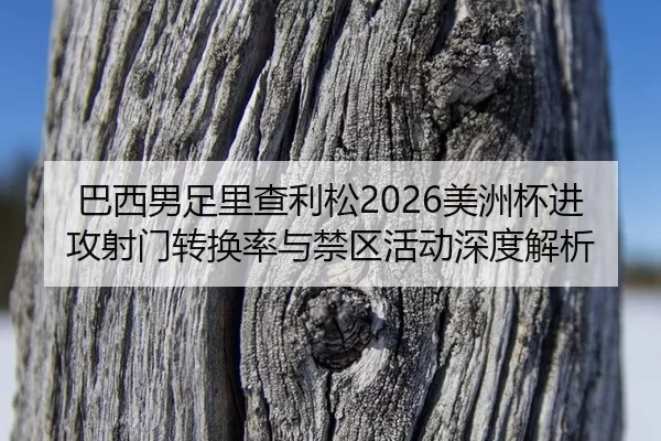 巴西男足里查利松2026美洲杯进攻射门转换率与禁区活动深度解析