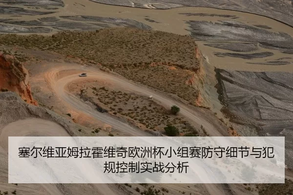 塞尔维亚姆拉霍维奇欧洲杯小组赛防守细节与犯规控制实战分析