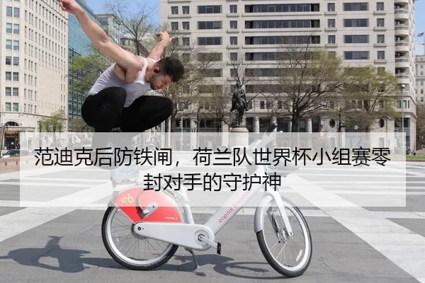 范迪克后防铁闸，荷兰队世界杯小组赛零封对手的守护神