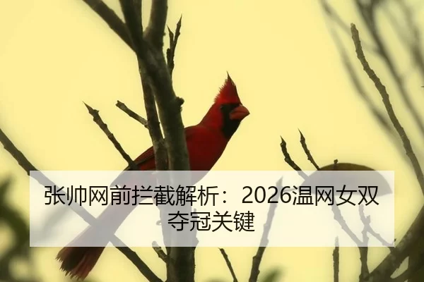 张帅网前拦截解析：2026温网女双夺冠关键