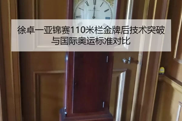 徐卓一亚锦赛110米栏金牌后技术突破与国际奥运标准对比